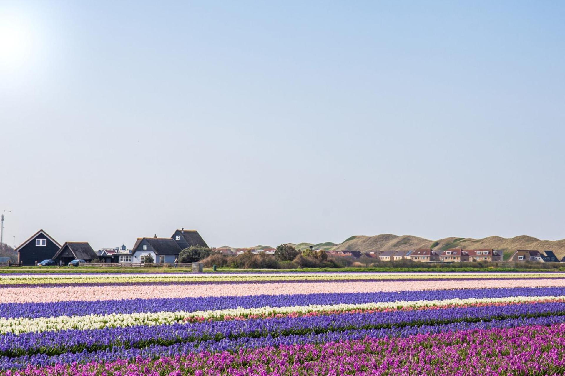 Vakantiehuis Zilt - Julianadorp Aan Zee Exterior photo